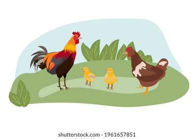 vector flat illustration chicken family - hen, chickens, cock, meadow, grass, meadow, sky