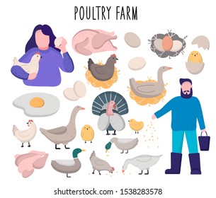 Vector flat illustration of a chicken farm. Vector set poultry farm. Chicken, turkey, duck. Eggs, meat, farmers.