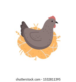 Vector flat illustration of a chicken in a nest. Domestic bird. Poultry farm. Chicken lays eggs.