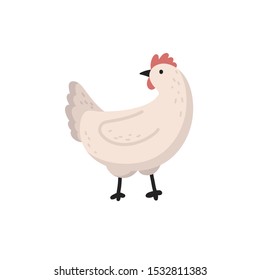 Vector flat illustration of chicken on a white background. Chicken farm. Poultry farming. Cute illustration with a chicken.  