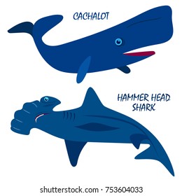 Vector flat illustration of colorful cartoon sea animals on white background. Cachalot and hammer head shark.
