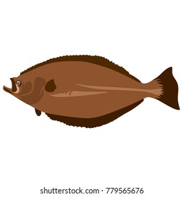 Vector flat illustration of colorful halibut on white background. Element for design. Cartoon fish.