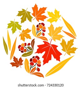 Vector flat illustration of colorful leaves and berries in circle. Element for design. Autumn design.
