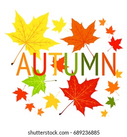 Vector flat illustration of colorful maple leaves on white background. Autumn lettering design.