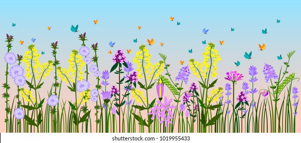 Vector flat illustration of colorful meadow and blue sky. Flowers herbs and butterflies. Summer.