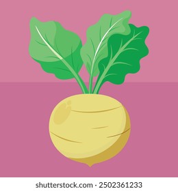 Vector plano ilustración Colorido rutabaga o swede. Ilustración vectorial en estilo de dibujos animados.