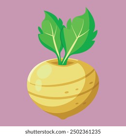 Vector flat illustration Colorful rutabaga or swede. Vector illustration in cartoon style.