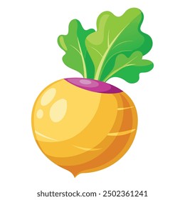 Vector flat illustration Colorful rutabaga or swede. Vector illustration in cartoon style.