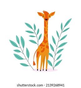 Vector flat illustration with cute giraffe cub on a white background. Wild savannah animal  standing in a leaves