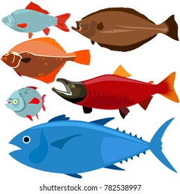 Vector flat illustration of different fish on white background. Elements for design. Food. Cartoon.