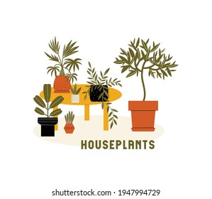 Ilustración plana vectorial con diferentes plantas domésticas. Plantas interiores sobre una mesa y un piso