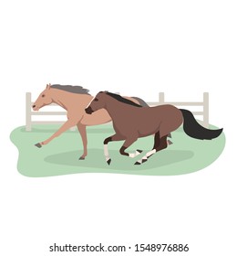 vector flat illustration of equestrian race with galloping horse without rider