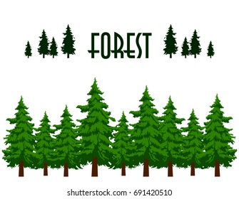 Vector flat illustration of fir trees on white background. Forest lettering. Element for design.