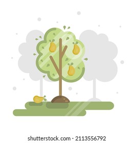 Vector flat illustration with garden background, orchard, pear tree and ripe pears.
