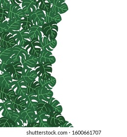 Vector flat illustration with green jungle leaves. Tropical pattern with place for text. Isolated element for plant design, postcard, invitation, greeting card 