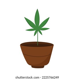 Vektorflache Illustration des Anbaus von Marihuana oder Cannabis in Vase.