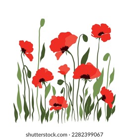 Vector flat illustration of a hand-drawn cute summer meadow with flowers with red poppies. Isolated on a white background.