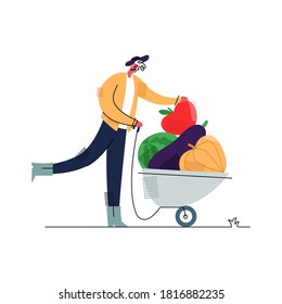 Vector flat illustration happy gardener who carries large, fresh vegetables from garden in cart. Concept farming, natural products, local food. It can be used in web design, social networks, banners.