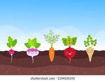 Vector flat illustration of happy root-crops growing on vegetable patch with blue sky and clouds background