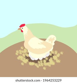 vector flat illustration hen hatches the eggs
