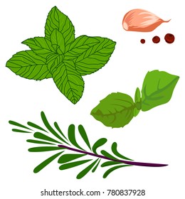 Vector flat illustration of herbs and spices on white background. Elements for design.