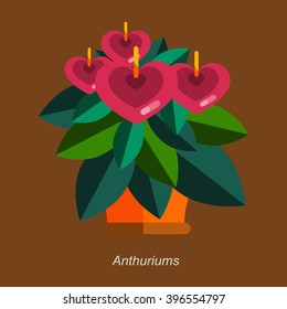 Vector flat illustration of indoor homeplant cactus in pot