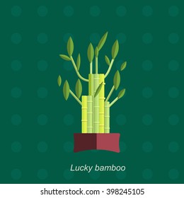 Vector flat illustration of indoor homeplant bamboo in pot