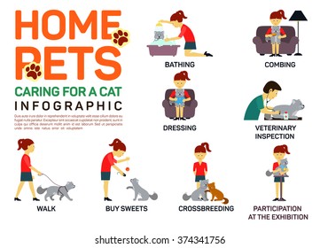 Ilustración vectorial plana infografía de cuidar al gato mascota. Baño, lavado, vestimenta, peinado, inspección veterinaria, ir a caminar, cruce, compra de alimentos, participación en una exposición