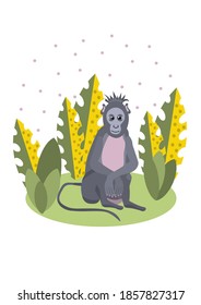 Vector flat illustration. An isolated animal for children concept. For teachers, apparel, stationery, accessories, postcards.  
