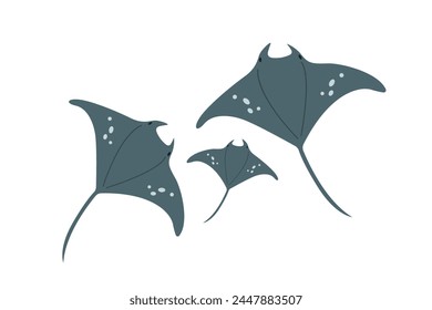 Vector flat illustration isolated on white background, sea animals illustration, vector flat stingray family, flat stingray with a baby