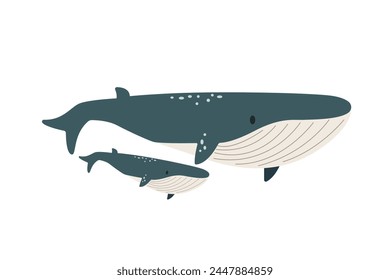 Vector flat illustration isolated on white background, sea animals illustration, vector flat big whale with a baby whale, marine life