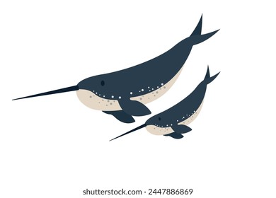 Vector flat illustration isolated on white background, sea animals illustration, vector flat big narwhal with a cute baby, marine life