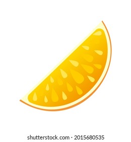 Vector flat illustration of juicy orange slice
