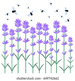 Vector flat illustration of lavender flowers. Element for design.