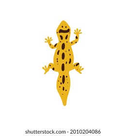 Vector flat illustration of leopard gecko top view. Yellow lizard in brown spots isolated on white background. Exotic reptile for wildlife poster.