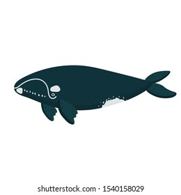 Vector flat illustration of northern smooth whale on a white background. A simple illustration of a whale. Undersea world. Marine life.