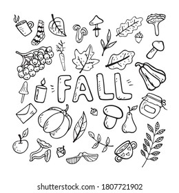 Vector flat illustration on an autumn theme: mushrooms, vegetables, leaves, cute attributes. Doodle objects are cut out.