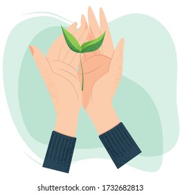 Vector flat illustration of plant in hands. Concept for Earth Day, Environment day, save nature, forests and ecological problems.