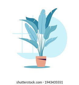 Vector flat illustration plant in pot.