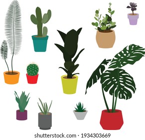 Ilustración plana vectorial de plantas en macetas. Un conjunto de diferentes plantas: monstera, cactus y otros. Diseño para tarjetas, carteles, plantillas, textiles, fondos.