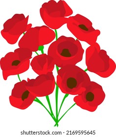 Vector flat illustration of poppies isolated on a white background. Each flower is on a separate layer. Bouquet of poppies