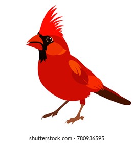 Red jay bird, illustration, vector on white background. 13684617 Vector Art  at Vecteezy