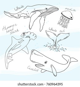 Vector flat illustration of sea animals. Engraving. Sketch. Doodles.
