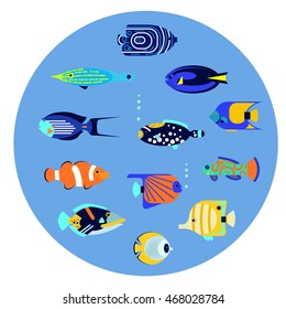 Vector flat illustration sea color tropical various aquarium fish icon.