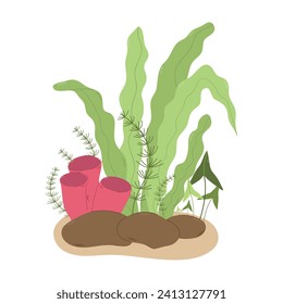  Ilustración vectorial plana de algas marinas. Vida submarina.