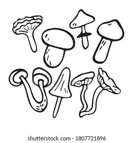 Icono de imagen plana vectorial de hongos. Se cortan los objetos de doodle.