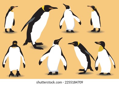 vector flat illustration set of penguins in different poses. Adult birds and chicks. Vector illustration, isolated on a white background.