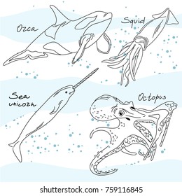 Vector flat illustration of sketch on marine background. Sea animals. Orca squid sea unicorn octopus. Engraving.