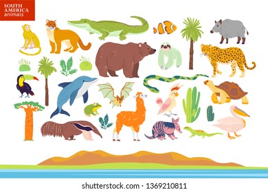 Vector flat illustration of South America animals, landscape, plants: crocodile, bear, anaconda, anteater, monkey, toucan palm tree, oak, cactus. Good for infographics, children book, alphabet, banner