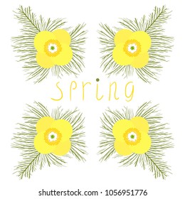 Vector flat illustration of spring background. Hand drawn lettering. Element for design. Yellow poppy flowers with green leaves.